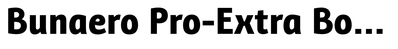 Bunaero Pro-Extra Bold Up